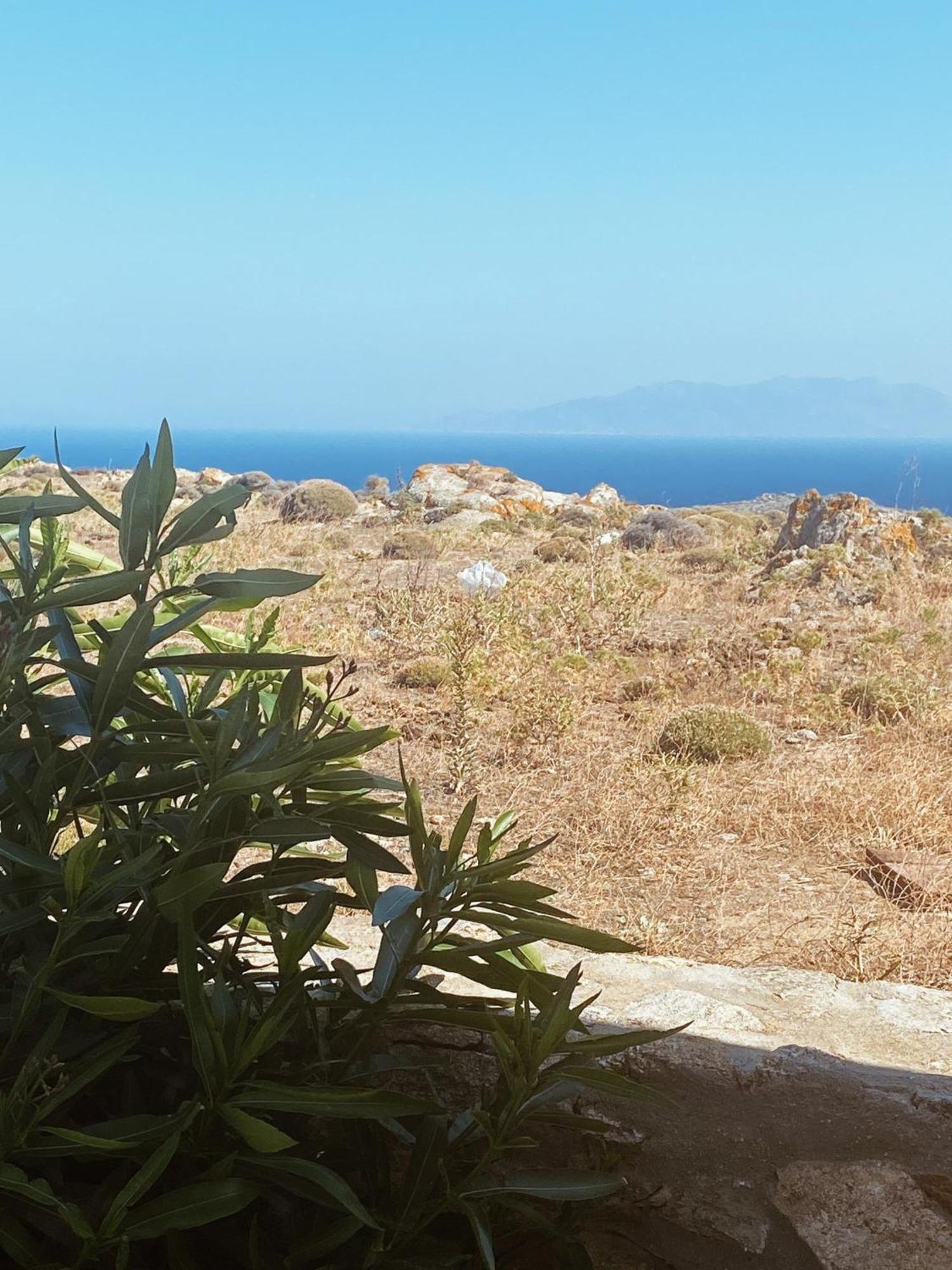 Naira Family Suites Mykonos Mykonos Town Eksteriør billede